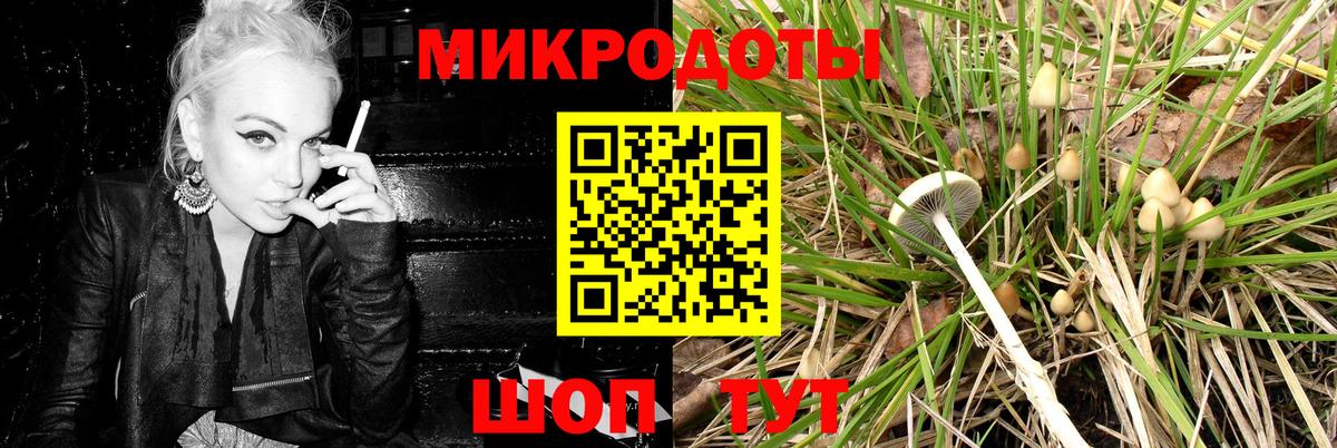 Псилоцибиновые грибы Psilocybe  Галлюциногенные грибы ЛСД  Вход с VPN  Зеленогорск 