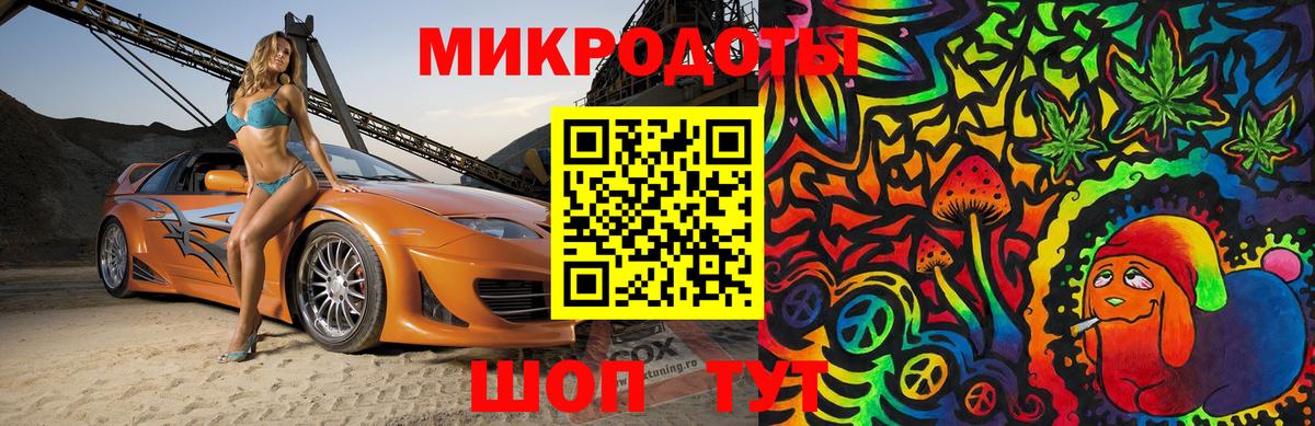 Псилоцибиновые грибы Cubensis Зеленогорск